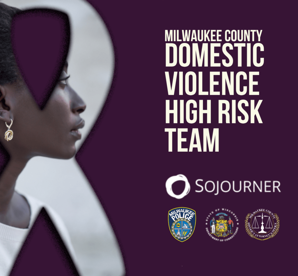 Domestic Violence High Risk Team Report Front Cover. A transparent ribbon hiding a survivor's side profile.
